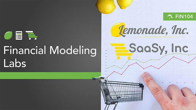 Financial Modeling Labs On-Demand Course